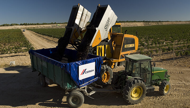 La Cantera Restaurada Con Vi Edos De Cemex En Yepes Culmina Su Vendimia